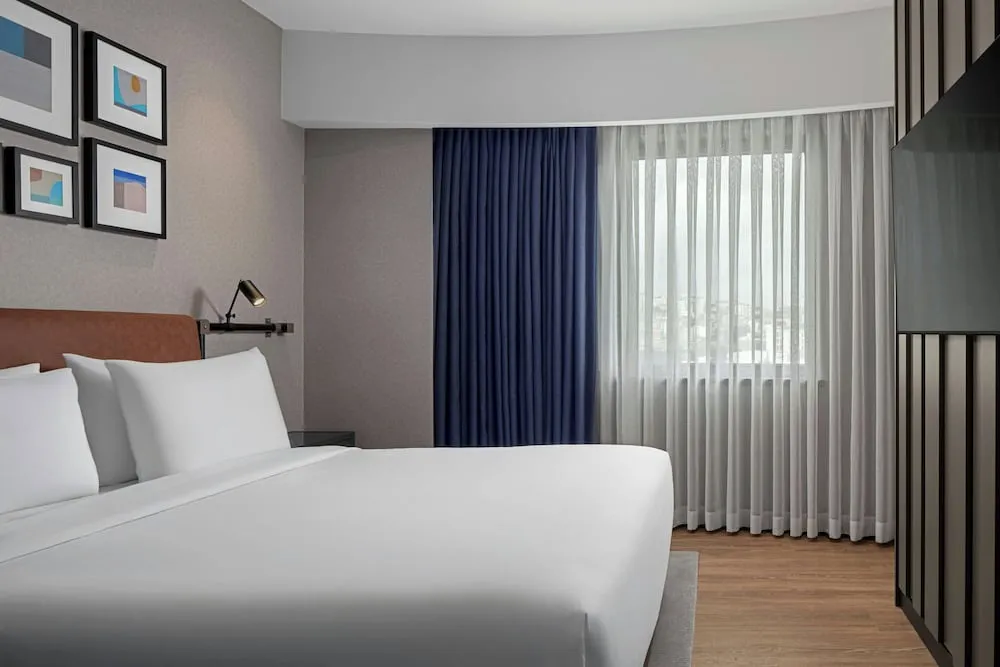 Premium Süit, 1 En Büyük (King) Boy Yatak, Sigara İçilmez, Şehir Manzaralı
