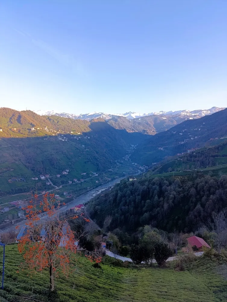 Deluxe Bungalov, Balkon, Vadi Manzaralı