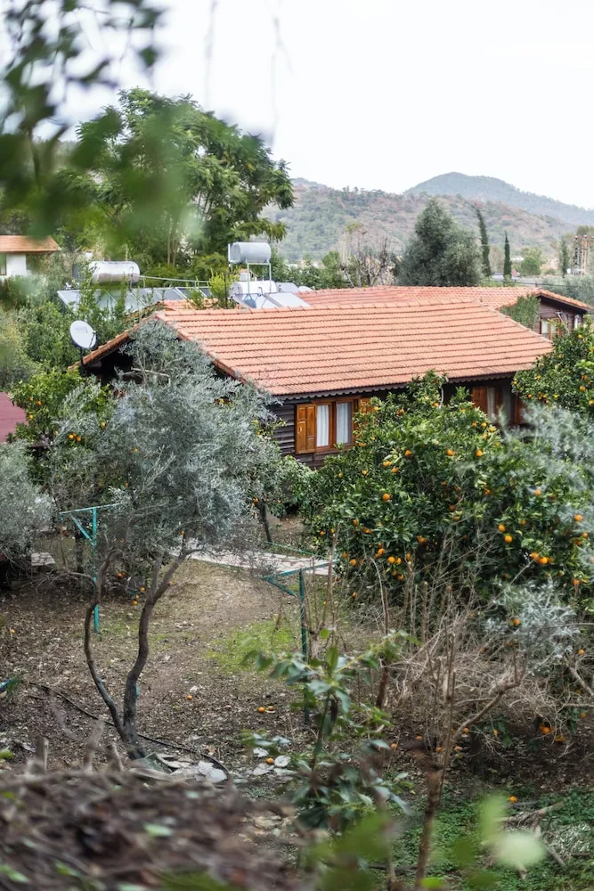 Dış mekân