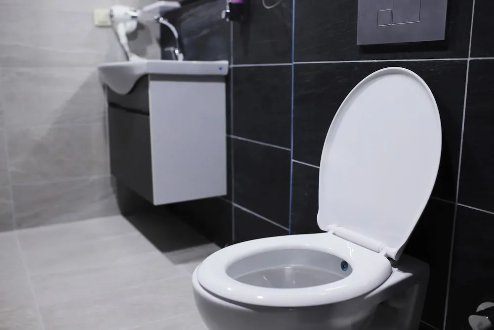 Luxury Çatı Katı Süiti (Penthouse), Şehir Manzaralı