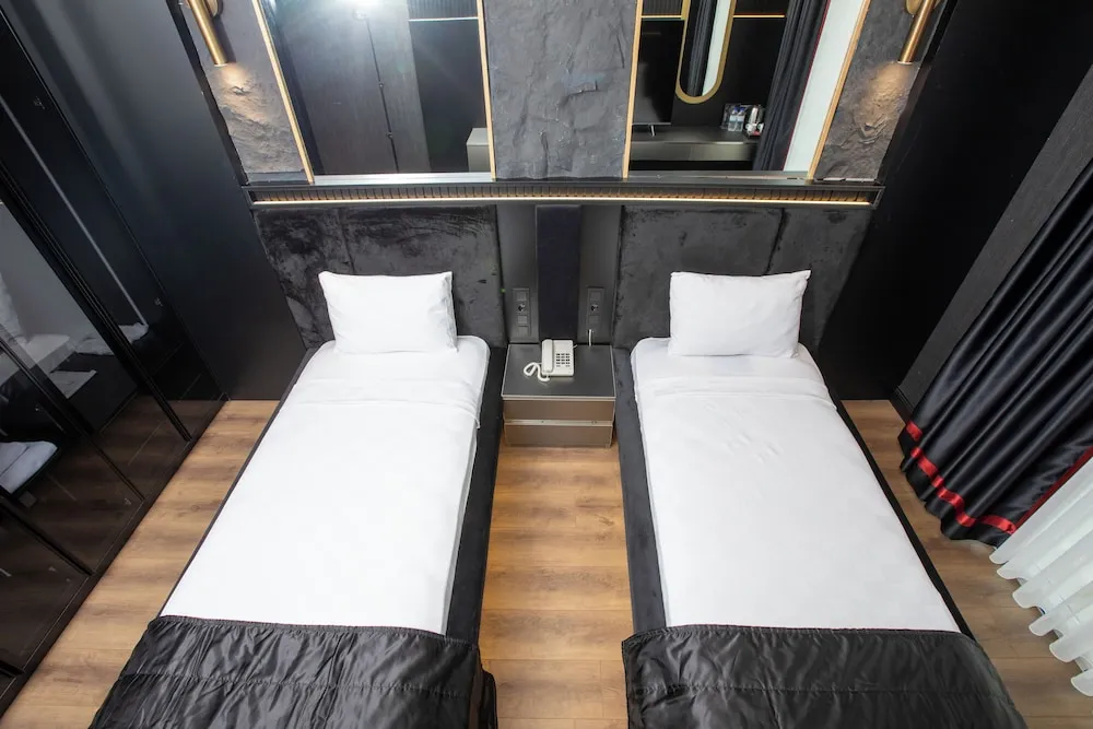 Standard İki Ayrı Yataklı Oda, Şehir Manzaralı