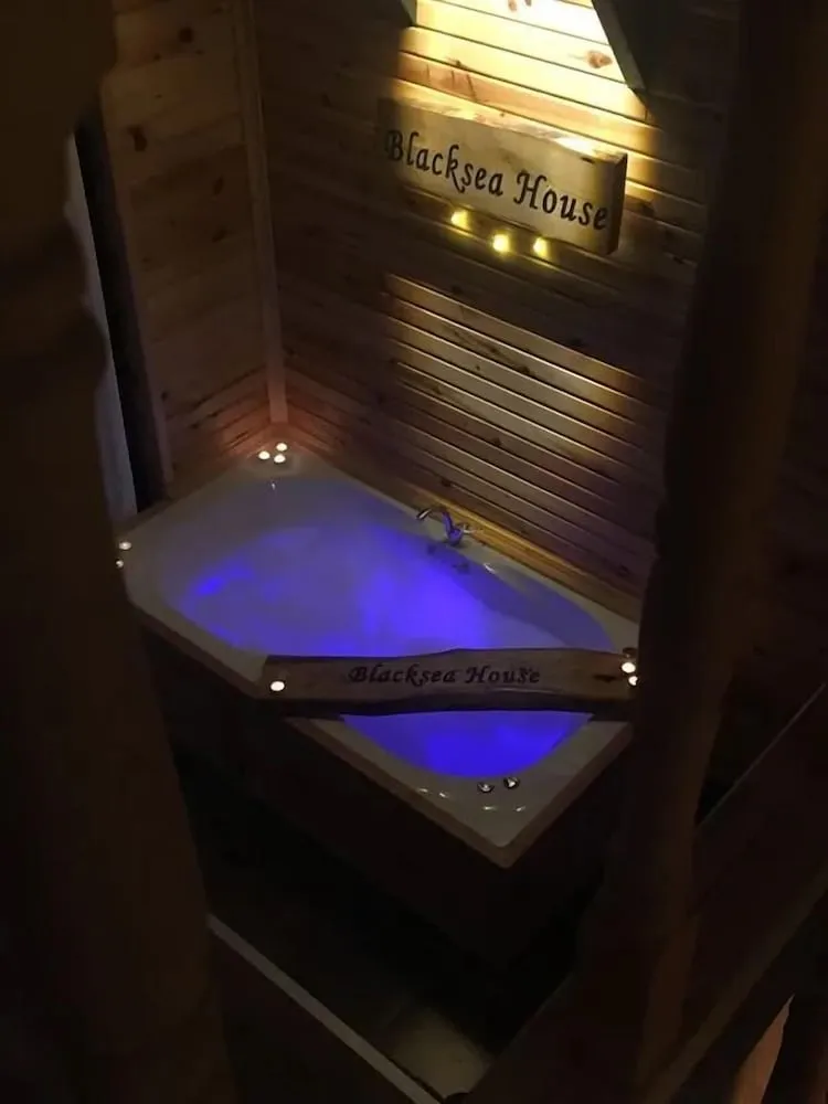 Business Dağ Evi