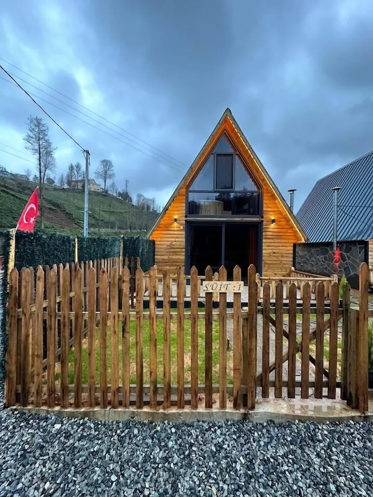 Rize Seversin Suit Bungalow