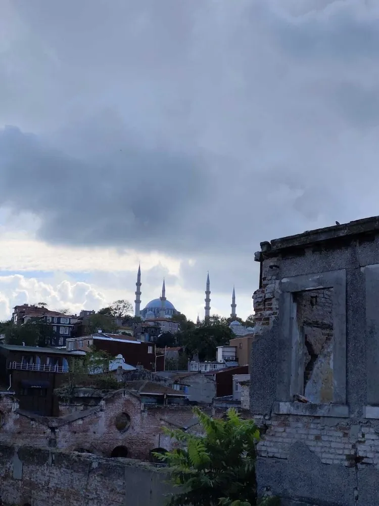 Business Tek Büyük Yataklı Oda, Birden Çok Yatak, Sigara İçilmez, Tepe Manzaralı