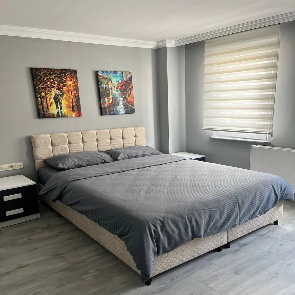 Basic Tek Büyük Yataklı Oda, 1 Çift Kişilik Yatak, Sigara İçilebilir, Şehir Manzaralı