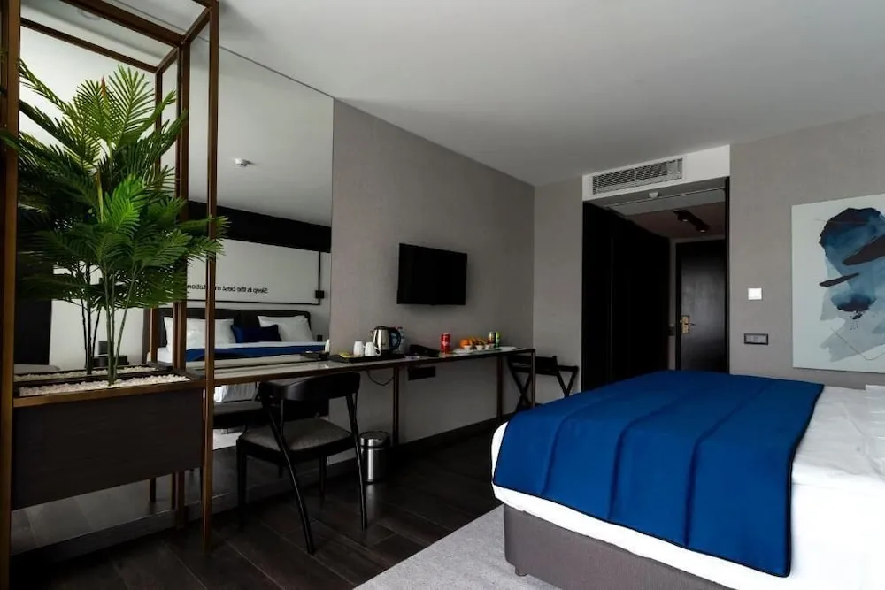 Luxury Tek Büyük veya İki Ayrı Yataklı Oda, Balkon, Şehir Manzaralı
