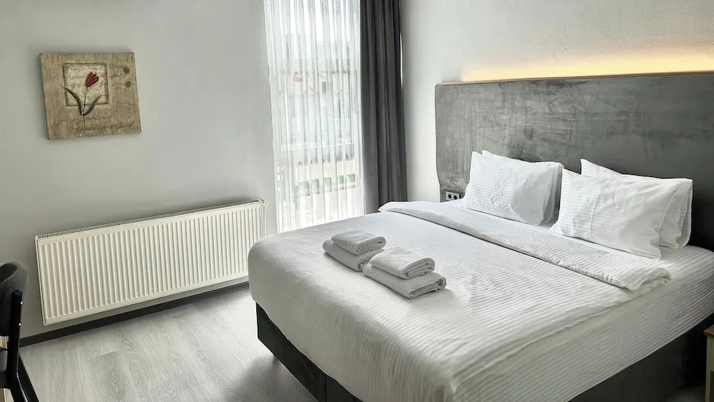 Standard Tek Büyük veya İki Ayrı Yataklı Oda, Şehir Manzaralı