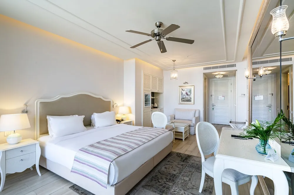 Deluxe Oda, Birden Çok Yatak (King or Twin Bed)