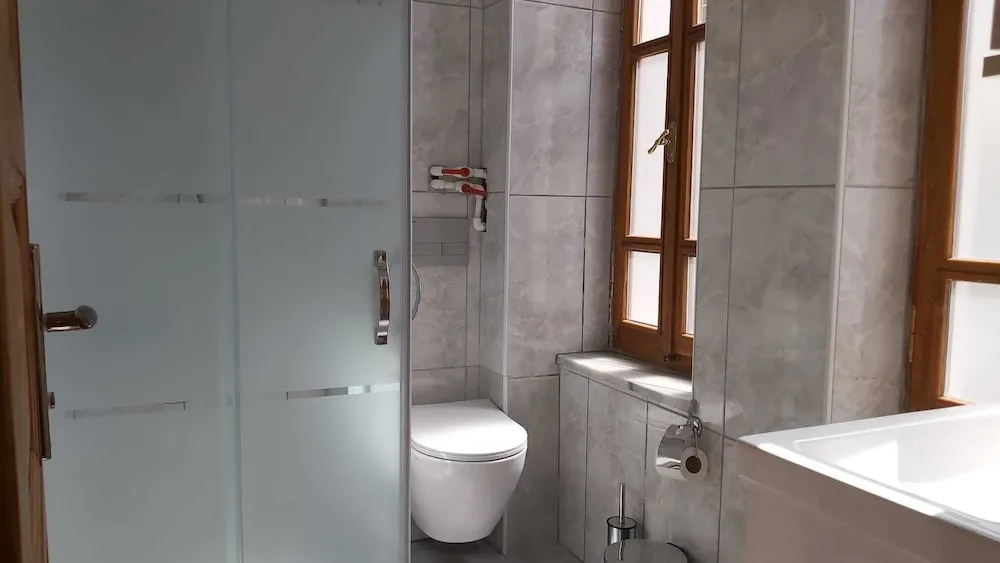 Superior Tek Büyük veya İki Ayrı Yataklı Oda, Sigara İçilmez, Şehir Manzaralı