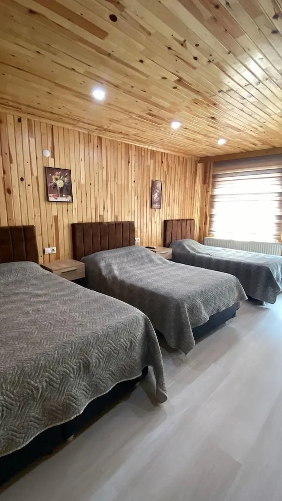 Standard Üç Kişilik Oda, 3 Tek Kişilik Yatak, Özel Banyo