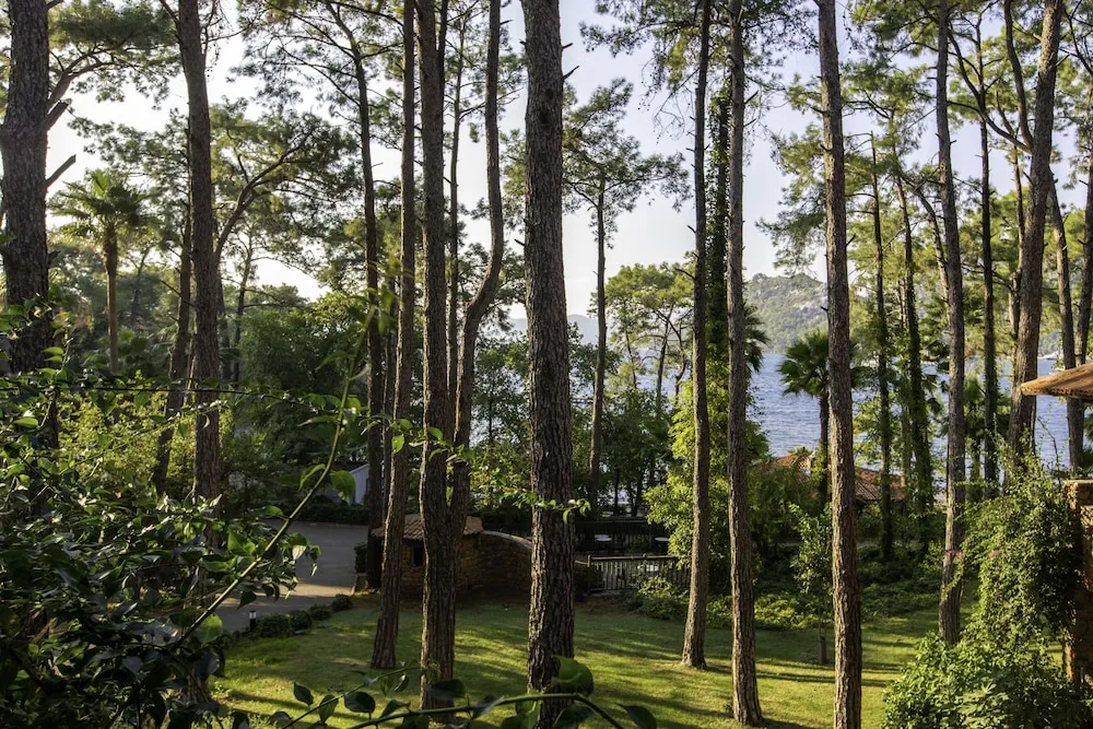 Süit, 2 Yatak Odası, Bahçe Manzaralı