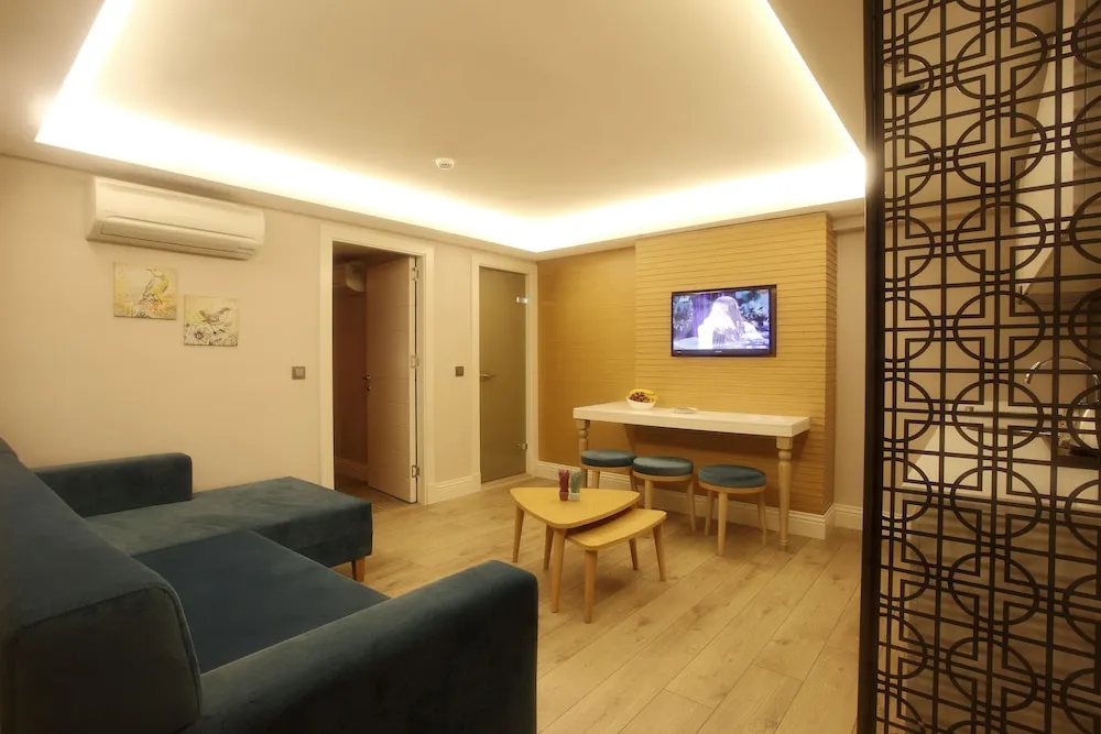 One Bedroom Apartment with kitchenette (Tek yatak odali daire mini mutfakli)