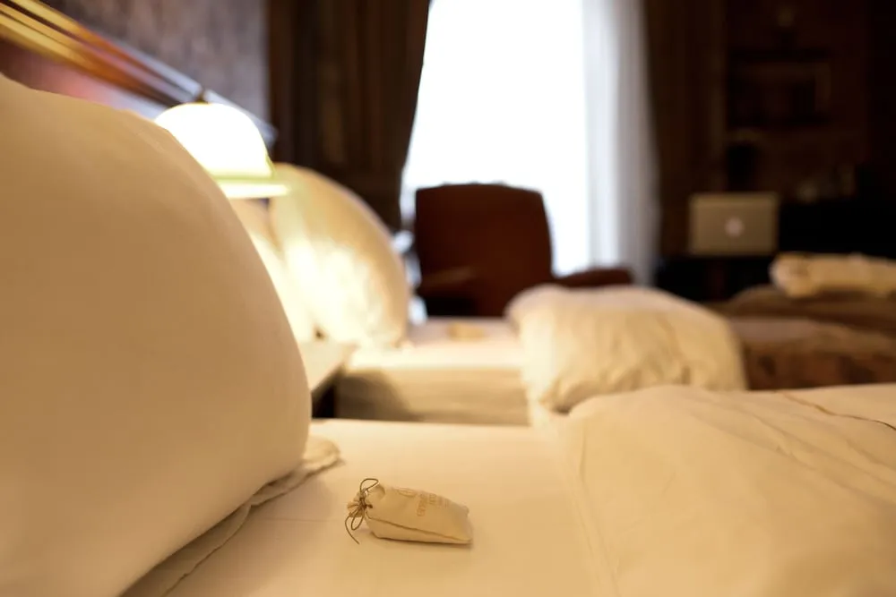 Deluxe Twin Bed Room, 2 Single Beds