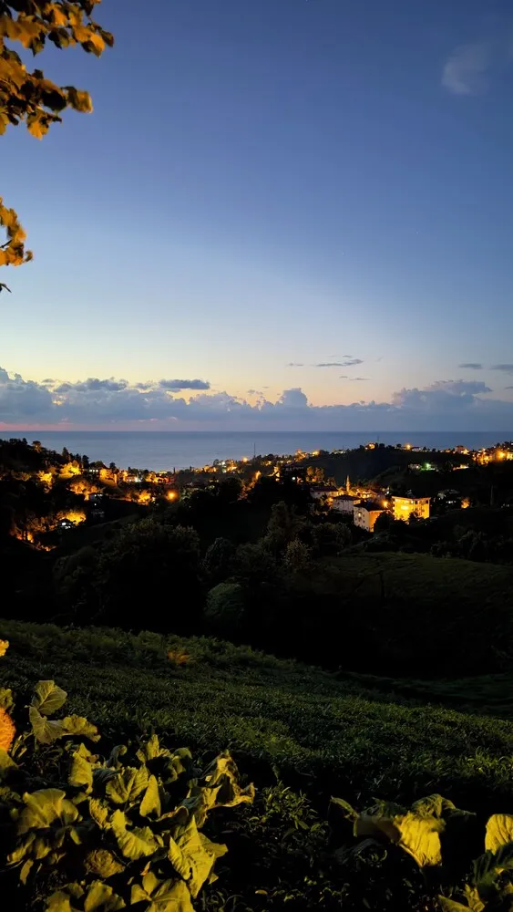Deluxe Bungalov, Birden Çok Yatak, Deniz Manzaralı, Bahçeli