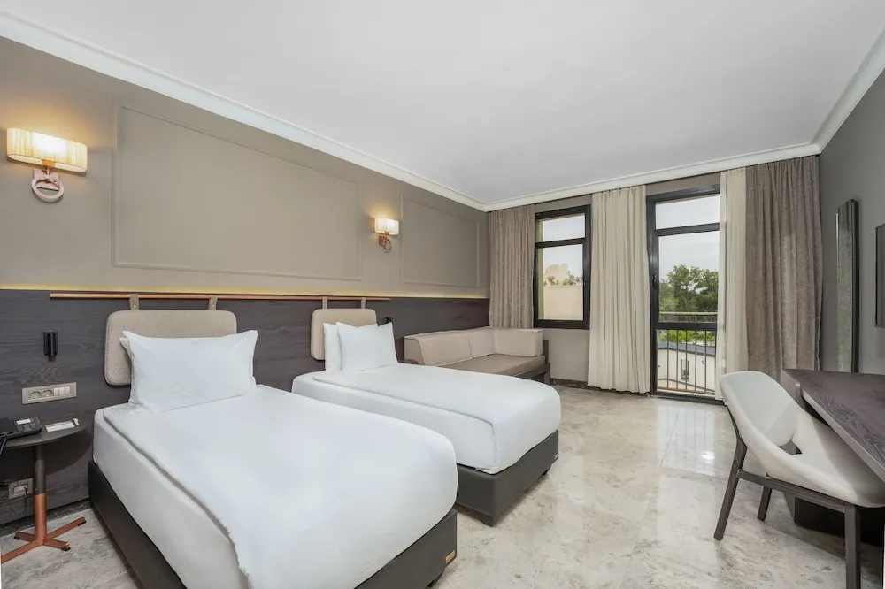 Standard Large Room (Without Balcony)