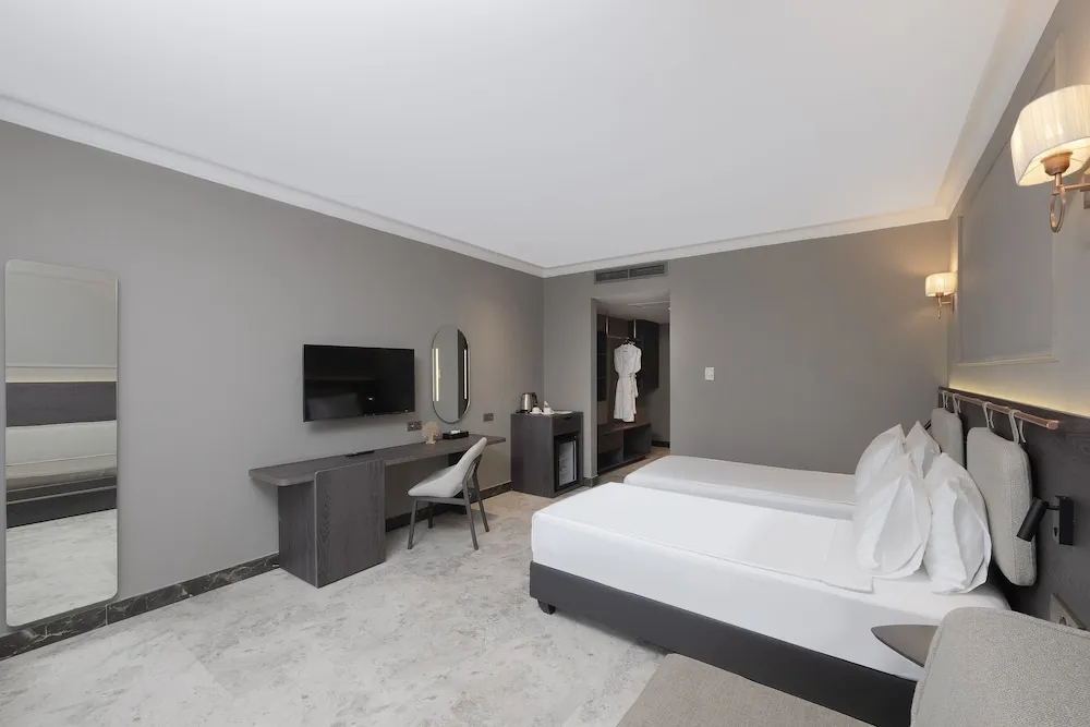 Standard Large Room (Without Balcony)
