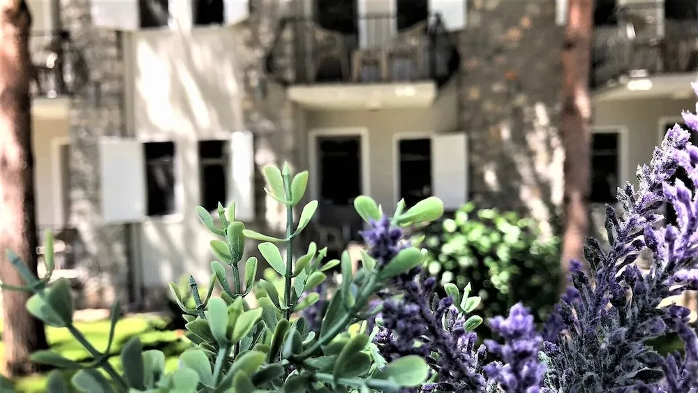 Family Süit, 2 Yatak Odası, Balkon