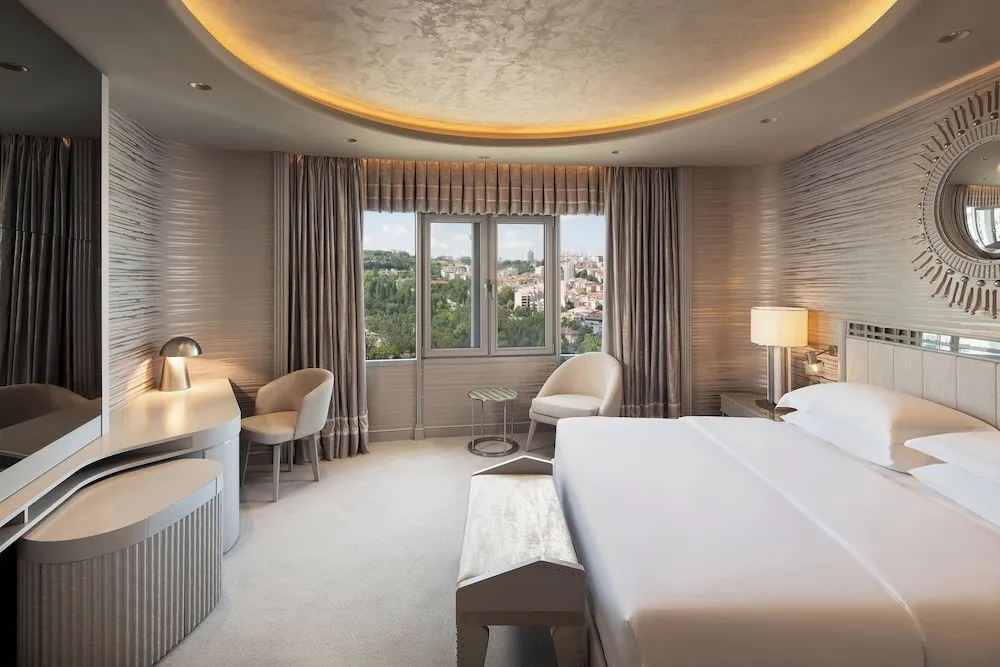 Premium Oda, 1 En Büyük (King) Boy Yatak, Sigara İçilmez, Şehir Manzaralı