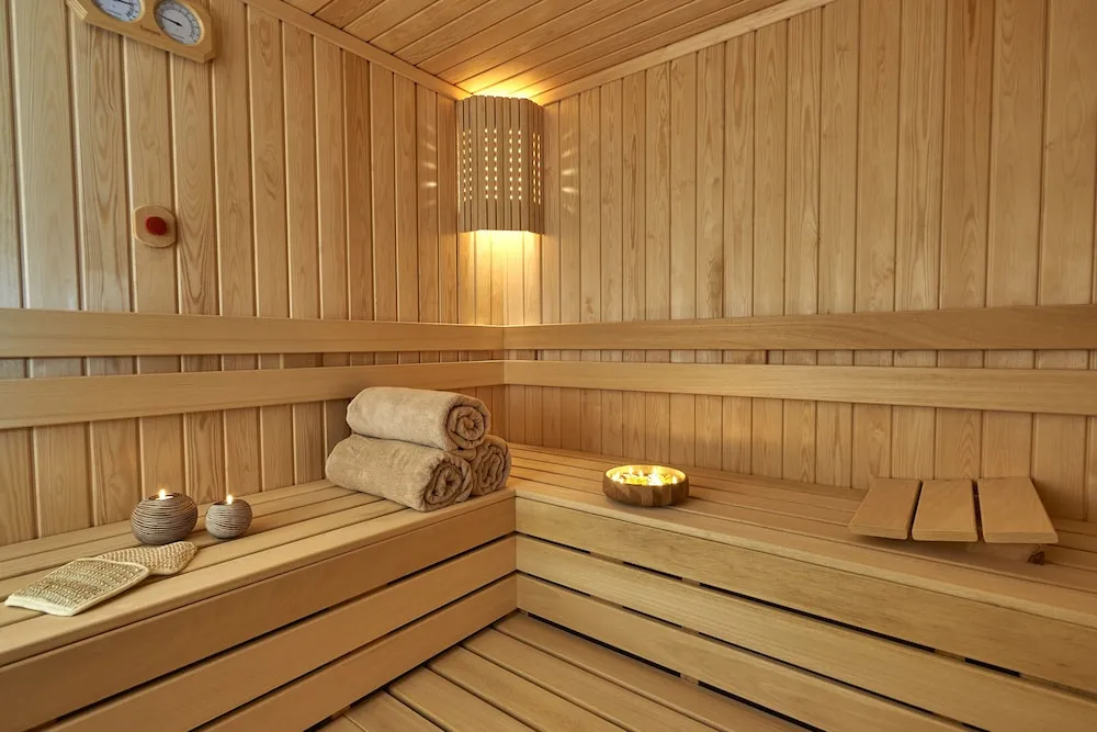 Penthouse King Suite With City View (Sauna & Hot Tub)