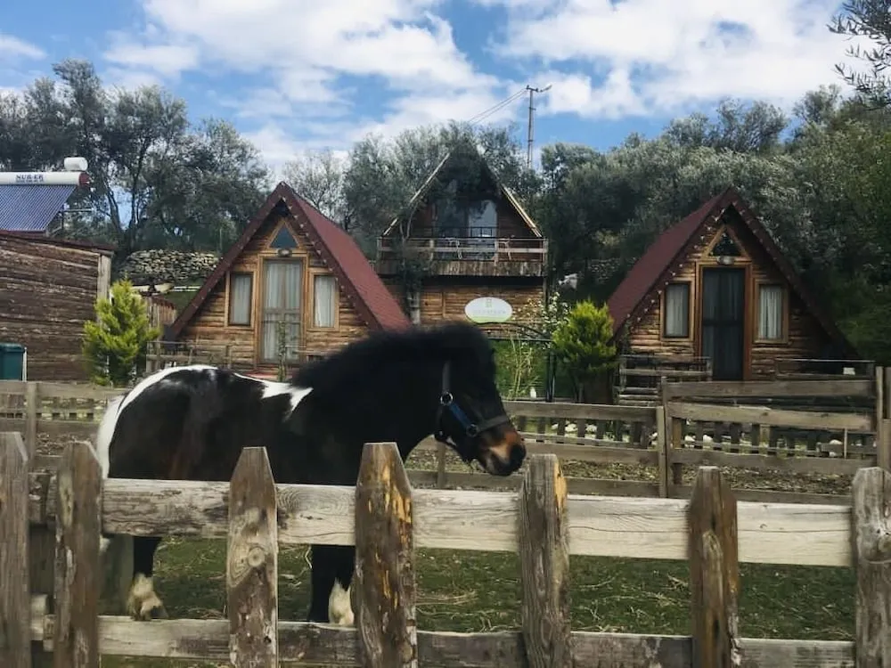 Standard Bungalov, 1 Çift Kişilik Yatak, Dağ Manzaralı, Bahçeli