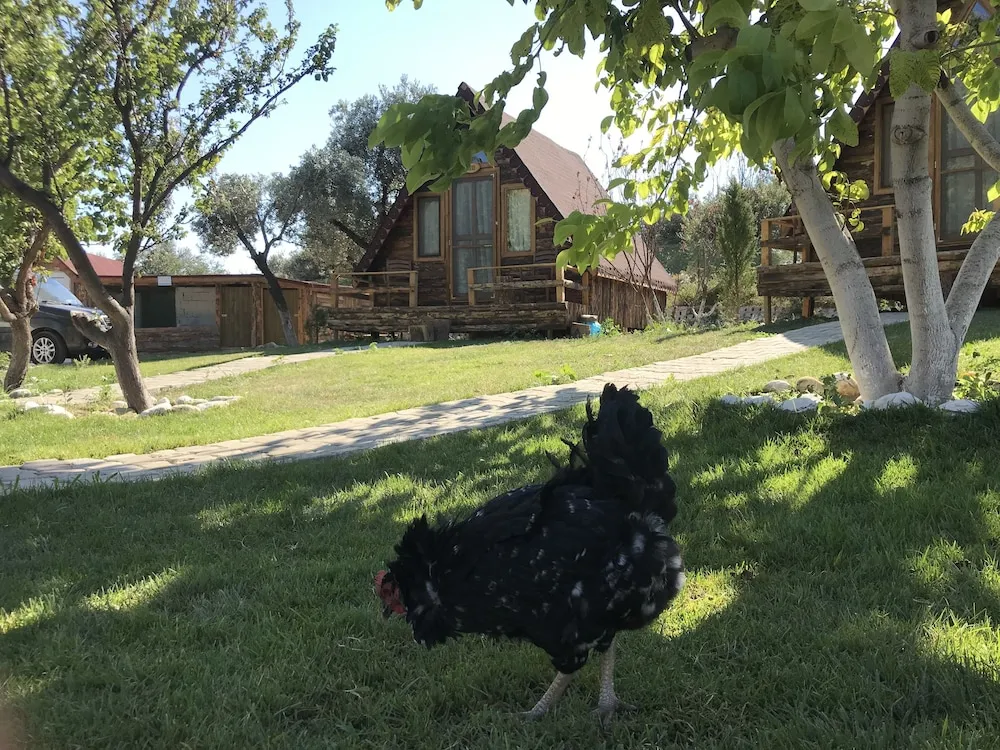 Standard Bungalov, 1 Çift Kişilik Yatak, Dağ Manzaralı, Bahçeli