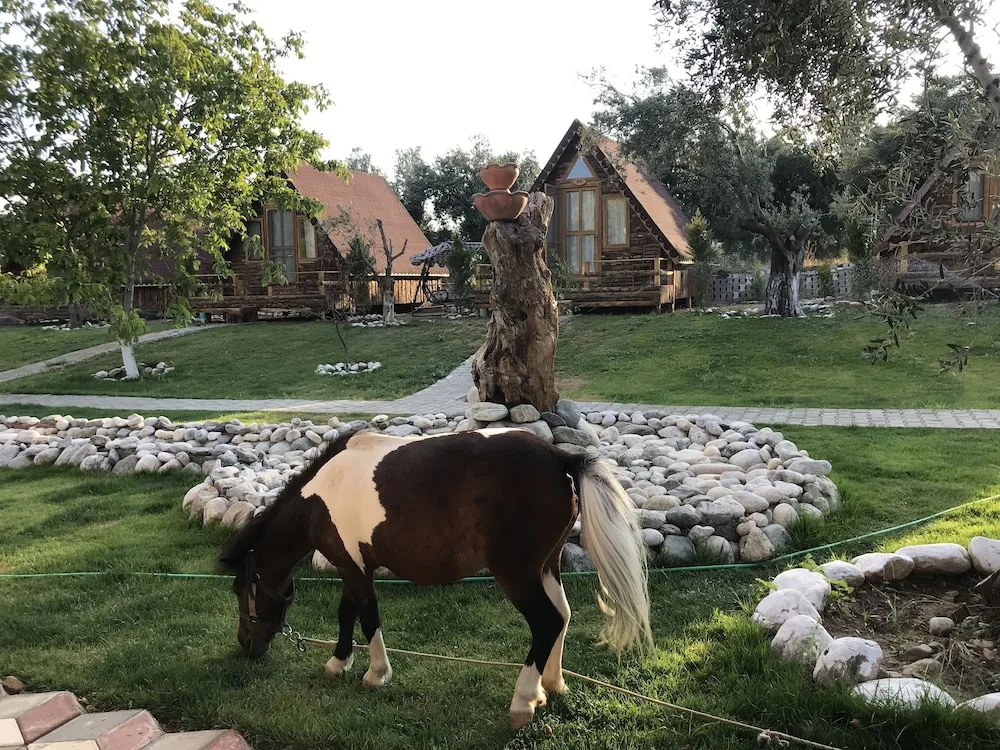 Standard Bungalov, 1 Çift Kişilik Yatak, Dağ Manzaralı, Bahçeli