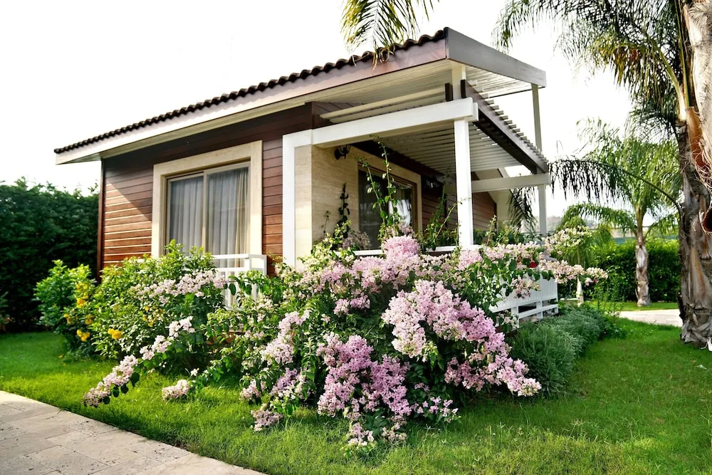 Standard Villa