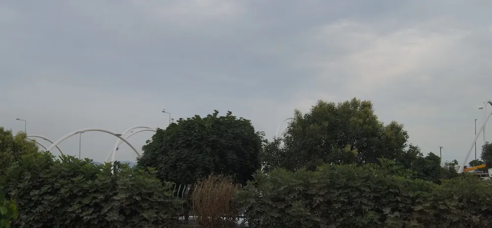 Economy Büyük Yataklı Tek Kişilik Oda, 1 Tek Kişilik XL Yatak, Ek Bina