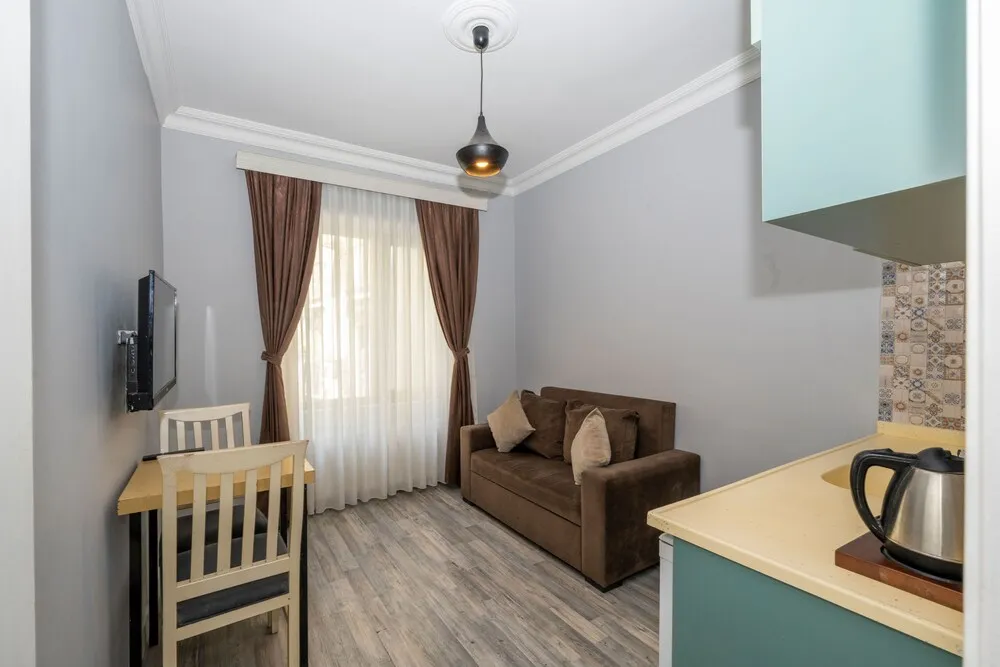 Stüdyo Süit, 1 Yatak Odası (Sofabed)