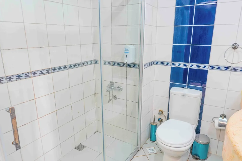 Standard Tek Büyük veya İki Ayrı Yataklı Oda, Bahçe Manzaralı