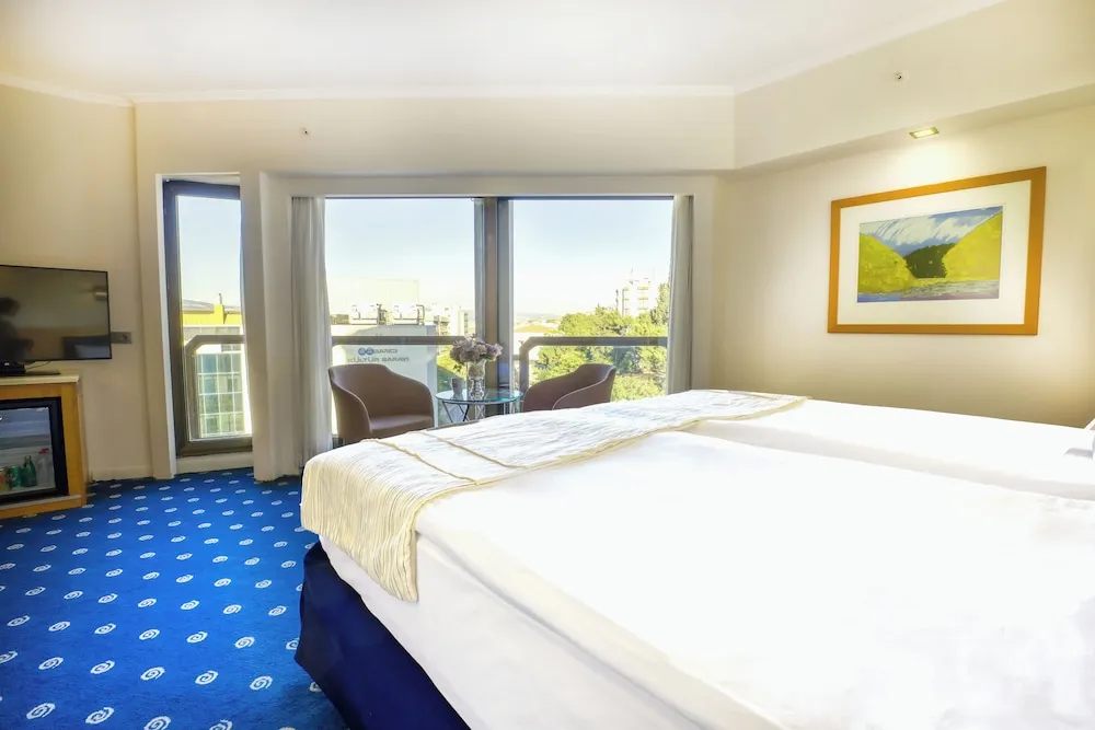 Standard Oda, 1 Çift Kişilik Yatak, Sigara İçilmez (Pet Friendly)