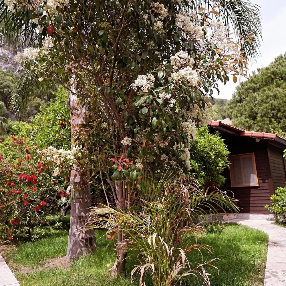 Bungalov, 2 Yatak Odası