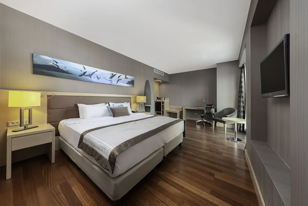 Club Oda, 1 Yatak Odası, Şehir Manzaralı