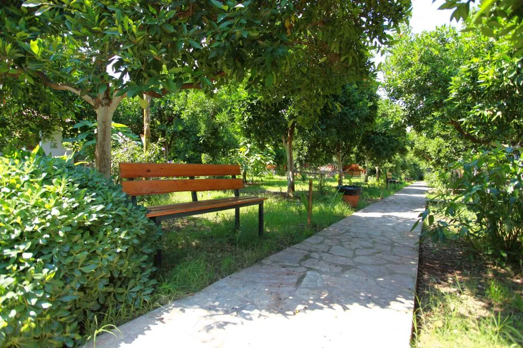 Genel Görünüm