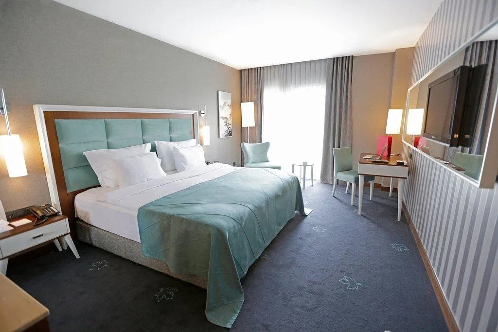 Deluxe Oda,Şehir Manzaralı,Fransız Balkonlu
