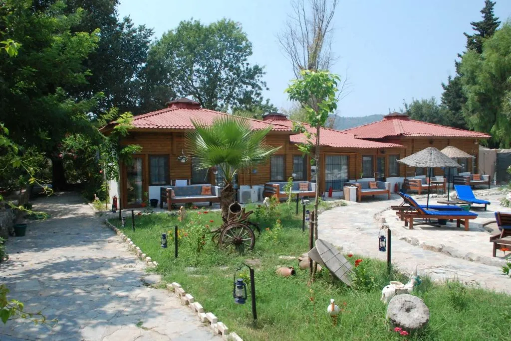 Genel Görünüm