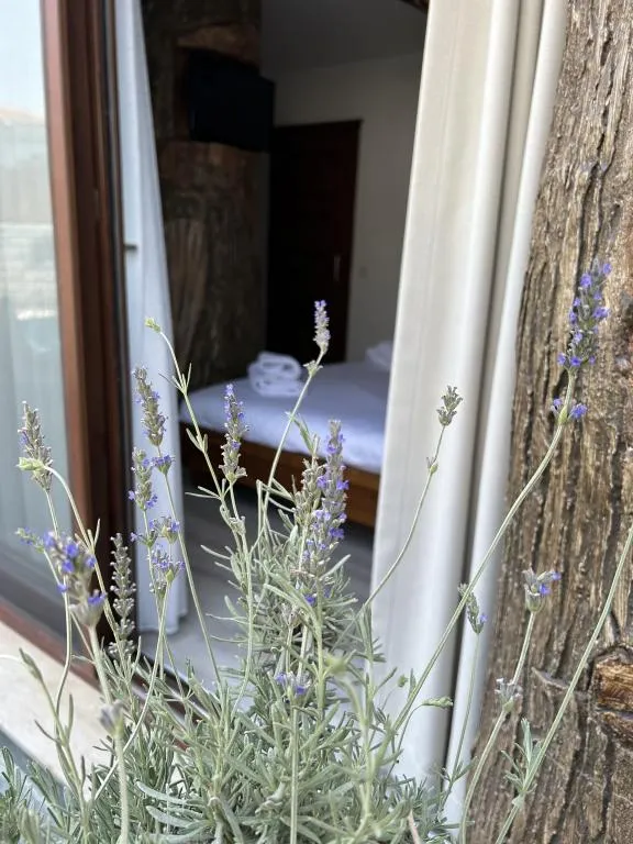 Superior Double Room,Havuz Manzaralı,Fransız Balkonlu