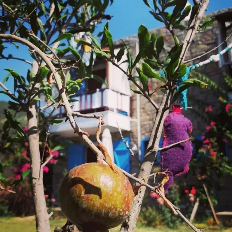 Aile odası