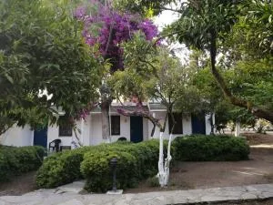 Myndos Bed & Breakfast Gümüşlük