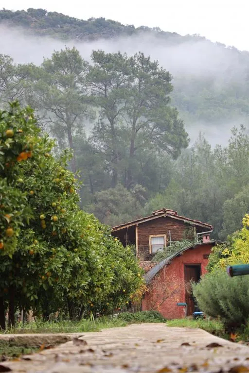 Kerpiç Bungalow,Bahçe Manzaralı