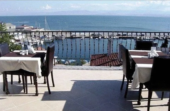 Genel Görünüm