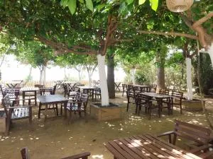 Palmiye Otel Özdere