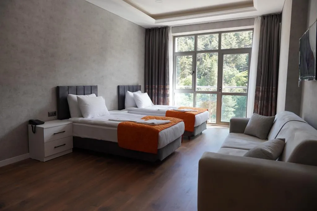 Standart Çift Kişilik İki Ayrı Yataklı Oda,Dağ Manzaralı