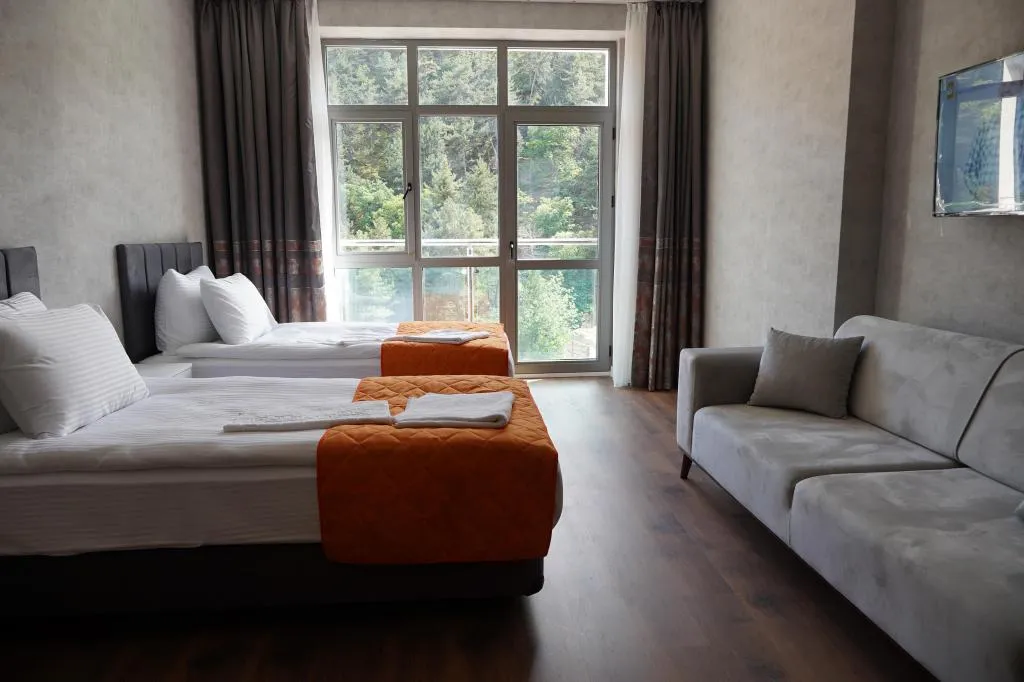Standart Çift Kişilik İki Ayrı Yataklı Oda,Dağ Manzaralı