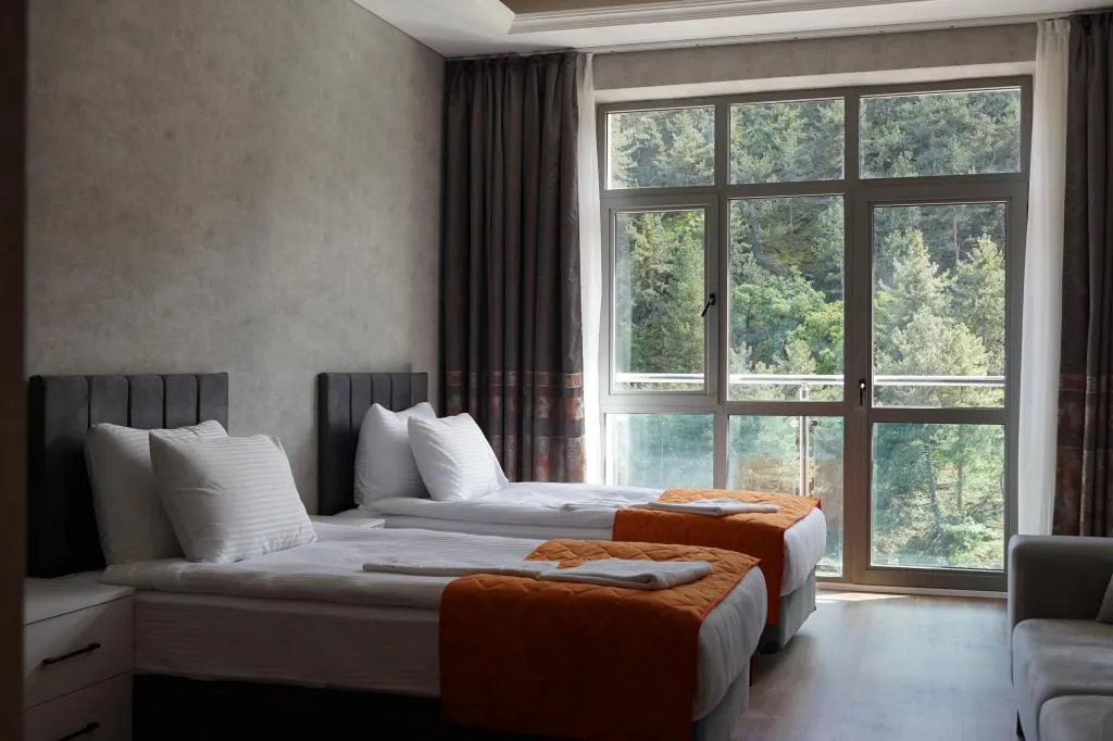 Standart Çift Kişilik İki Ayrı Yataklı Oda,Dağ Manzaralı
