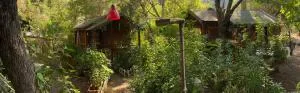 CanaRio Pension