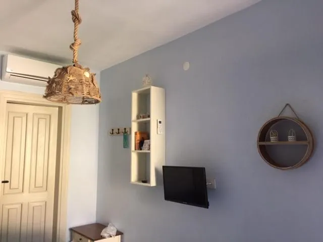 Genel Görünüm
