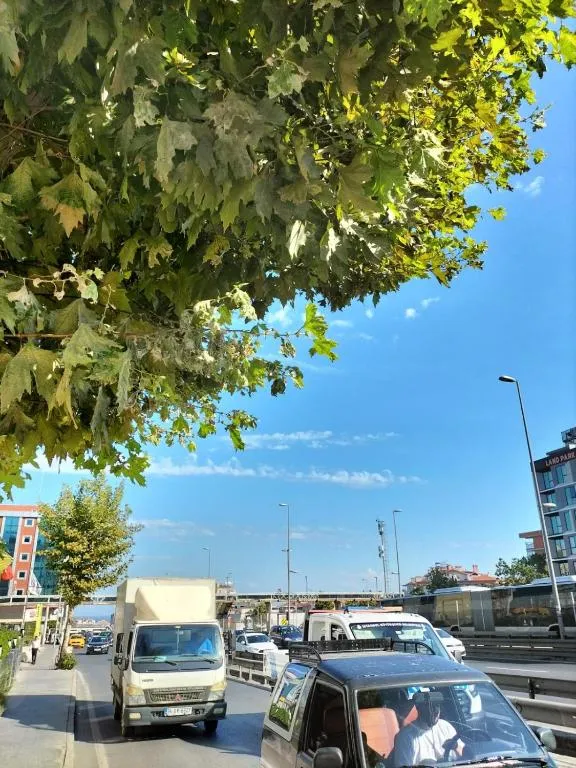 Genel Görünüm