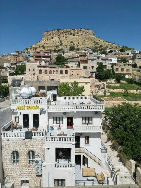 geniş aile