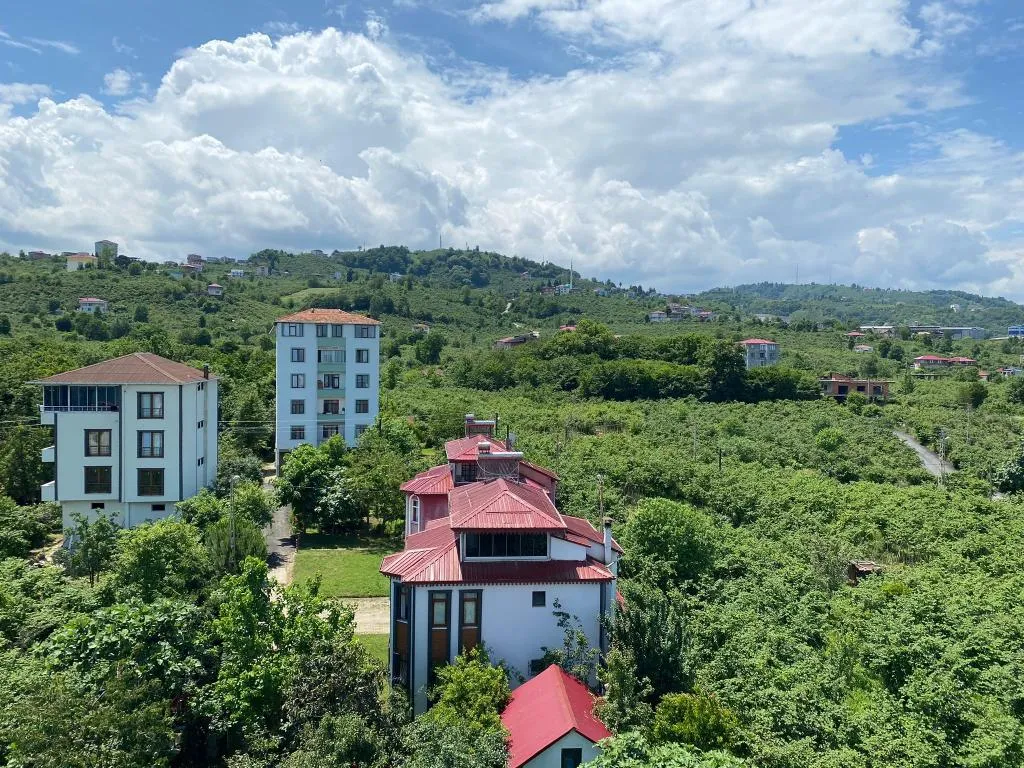 Genel Görünüm